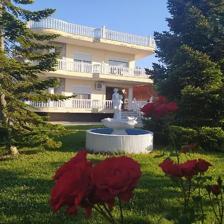 Villa Dimitris *